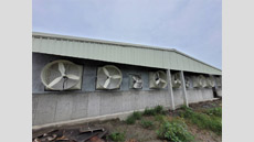 彰化養豬場