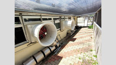 屏東養豬場
